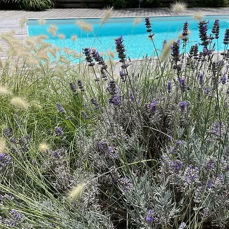 Landaise De Charme Avec Piscine Chauffee *